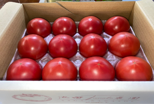 【高級トマト】池田Tomato農園 -SAGA KAWASOE- 約1kg