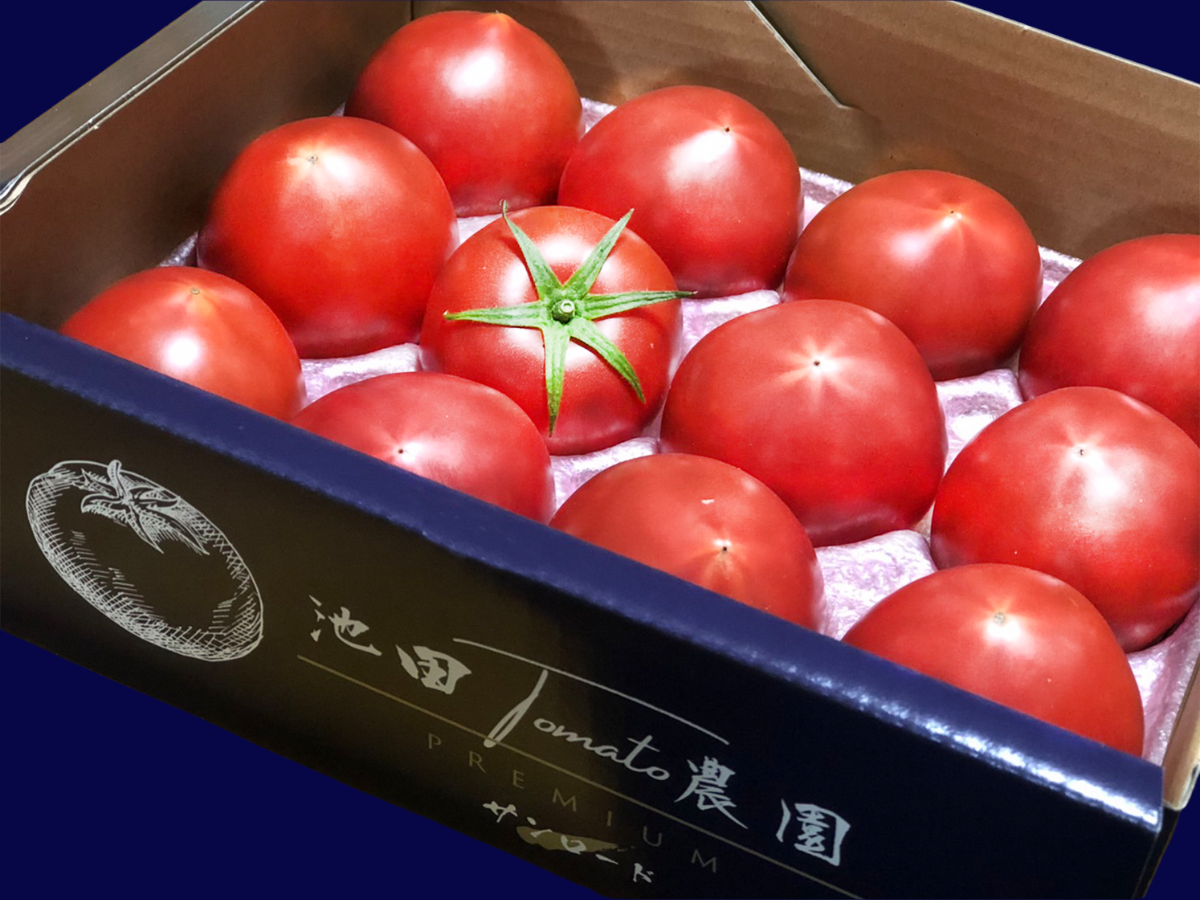 tomatoさん専用 最高級トマト】池田Tomato農園 -PREMIUM- 約1kg
