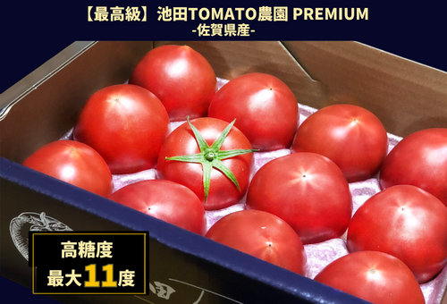 最高級トマト】池田Tomato農園 -PREMIUM- 約1kg