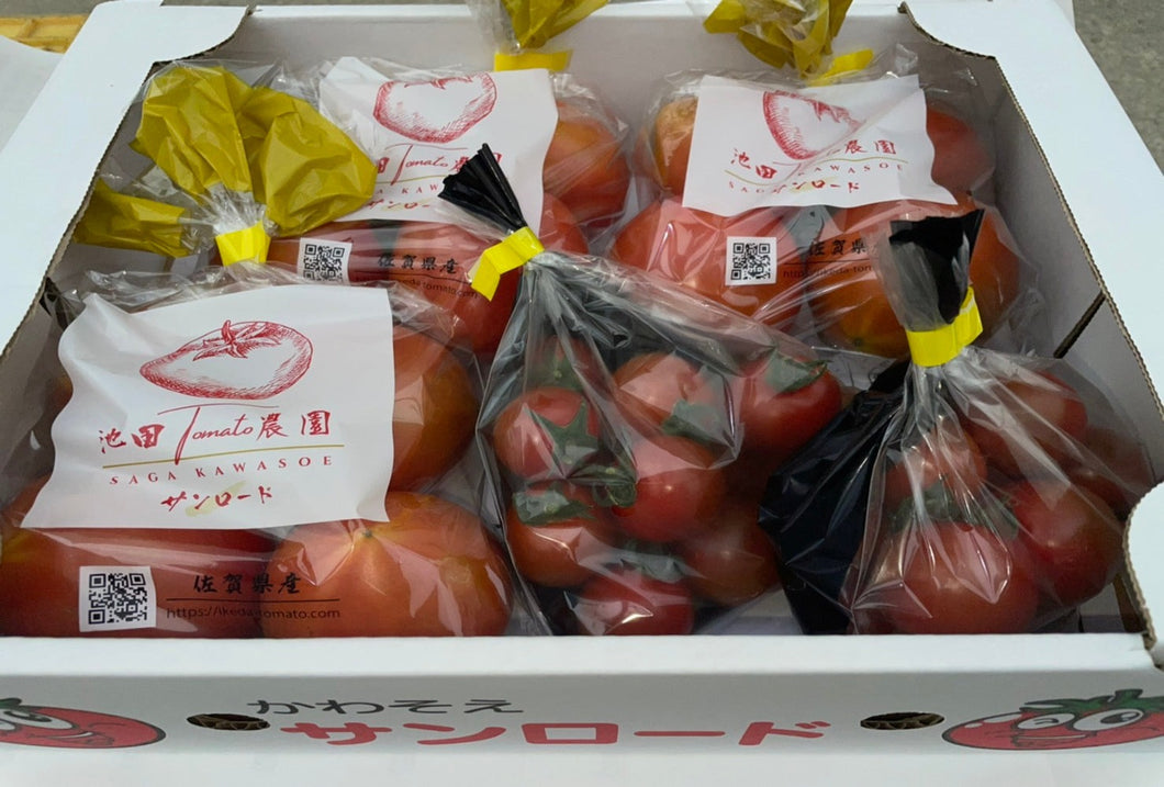 サンロードトマト＆ミニトマト 詰め合わせセット 約2kg