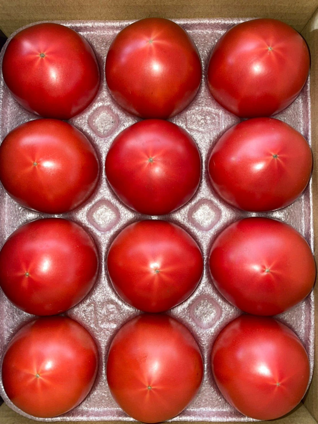 高級トマト】池田Tomato農園 -SAGA KAWASOE- 約1kg